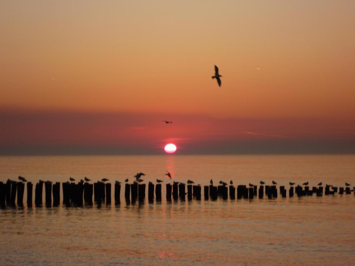 Vakantiebungalow Domburg Do01 エクステリア 写真