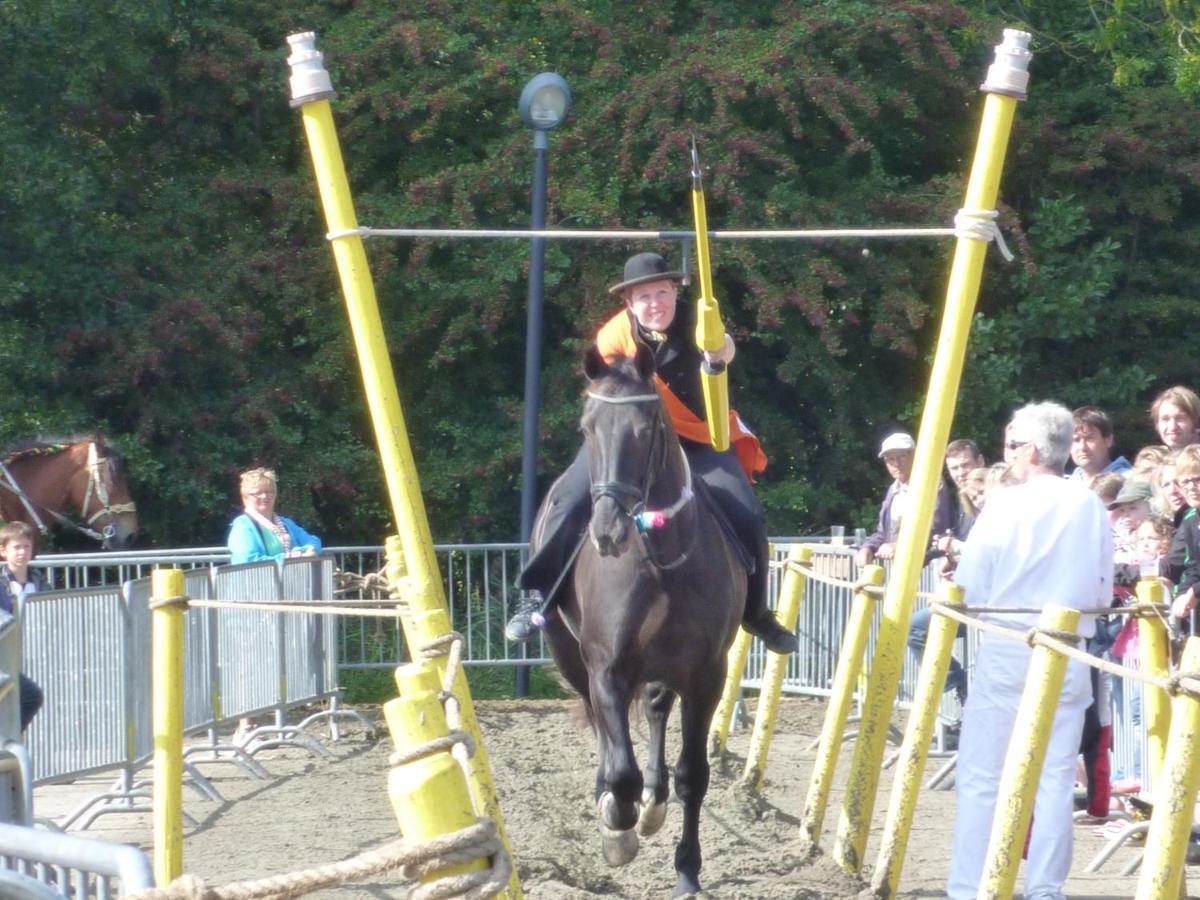 Vakantiebungalow Domburg Do01 エクステリア 写真